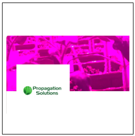 Logo-Propagation Solutions
