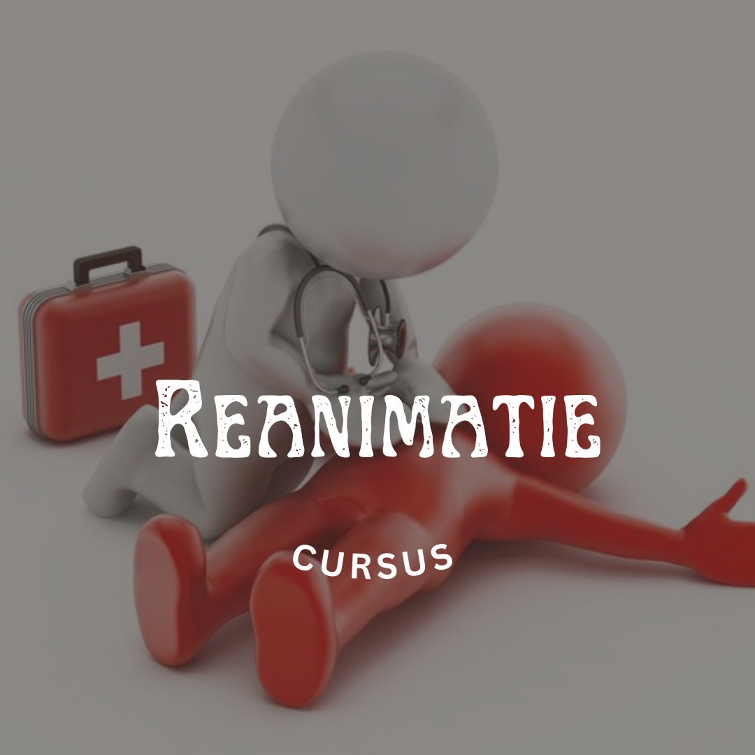 Reanimatiecursus